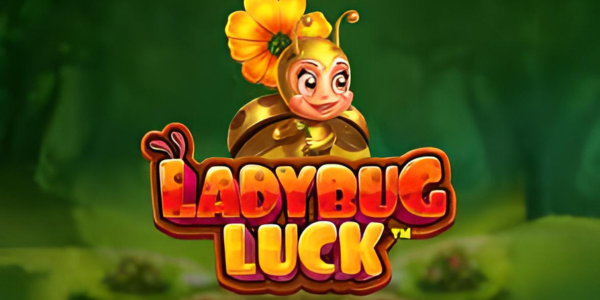 Ladybug Luck